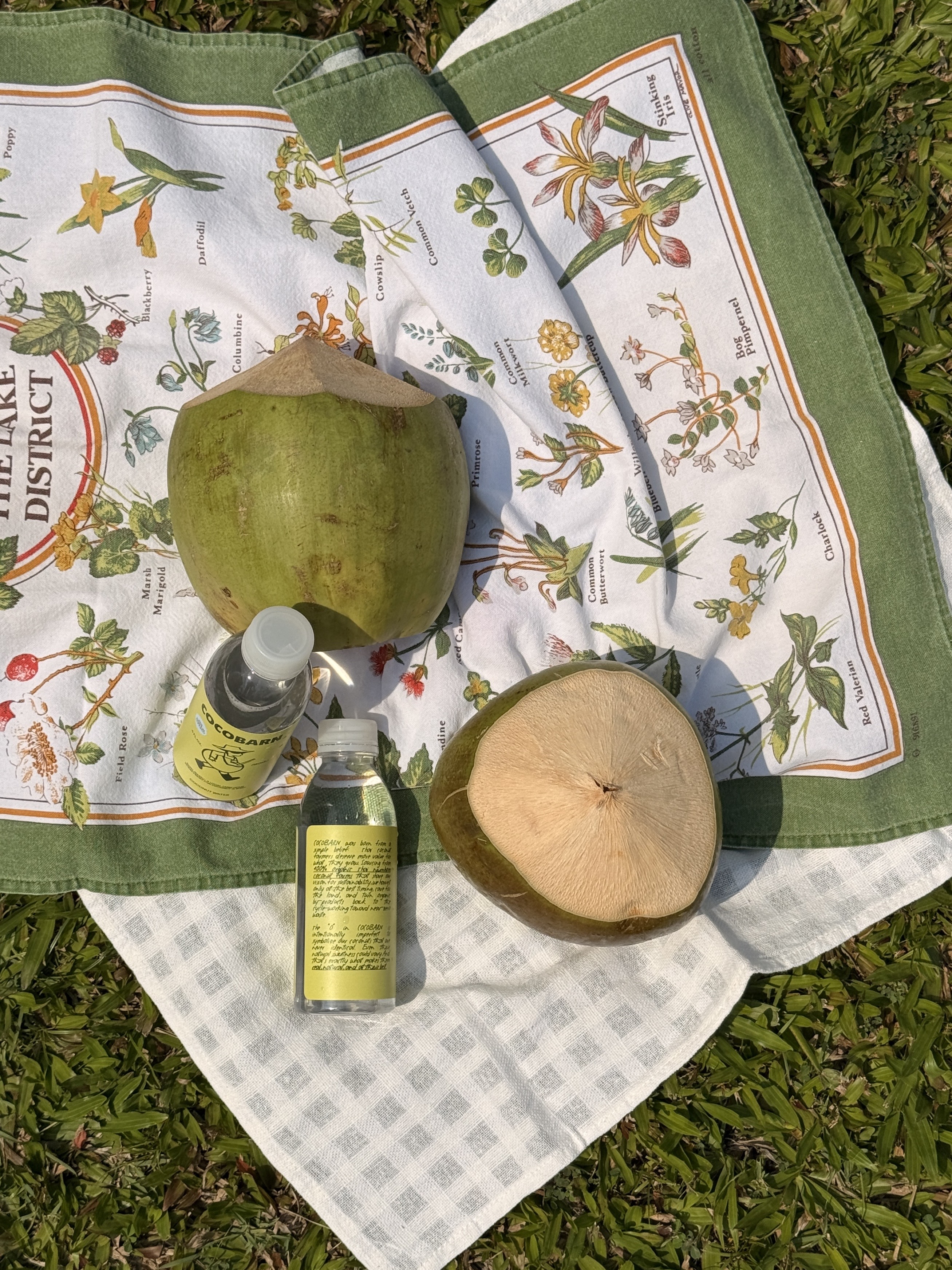 COCOBARN organic coconut farm in Ratchaburi, Thailand — lush coconut grove